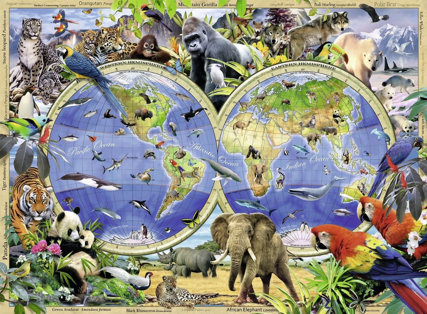 Ravensburger. Пазл карт. 300 арт.13173 "Атлас диких животных"