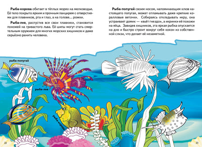 Самые удивительные рыбки ; Самые удивительные рыбки