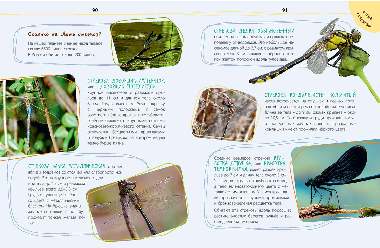 Такие незнакомые эти насекомые (СНИЖЕНА ЦЕНА)