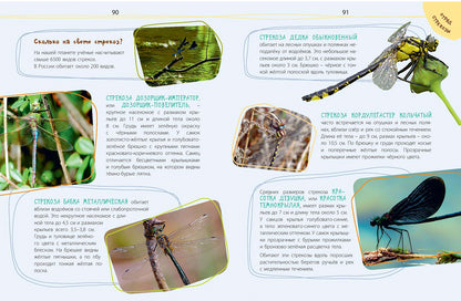 Такие незнакомые эти насекомые (СНИЖЕНА ЦЕНА)