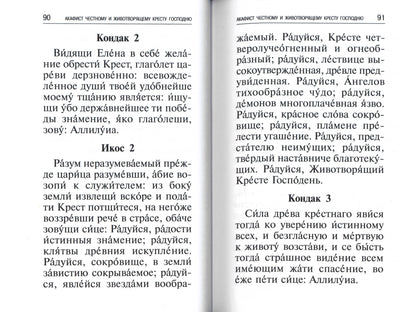 Les professeurs, les chefs des grands, les chefs et les autres