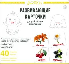 Цветы и ягоды (40 карточек)