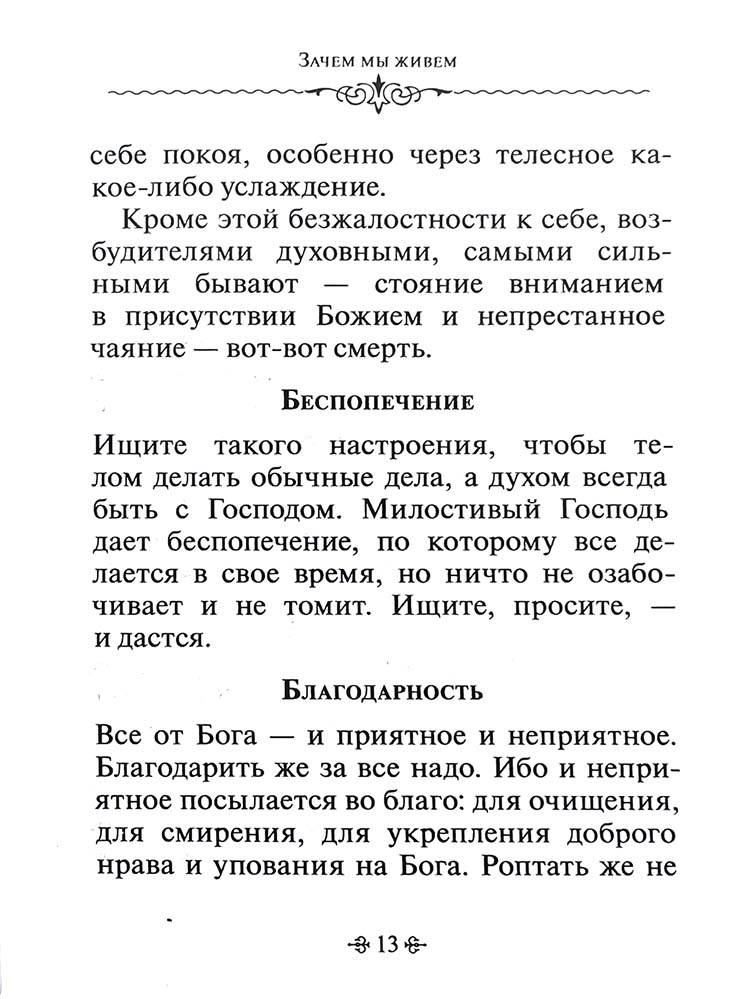 Зачем мы живем. По творениям святителя Феофана Затворника