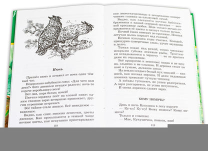 Лесные тайнички (зеленая)