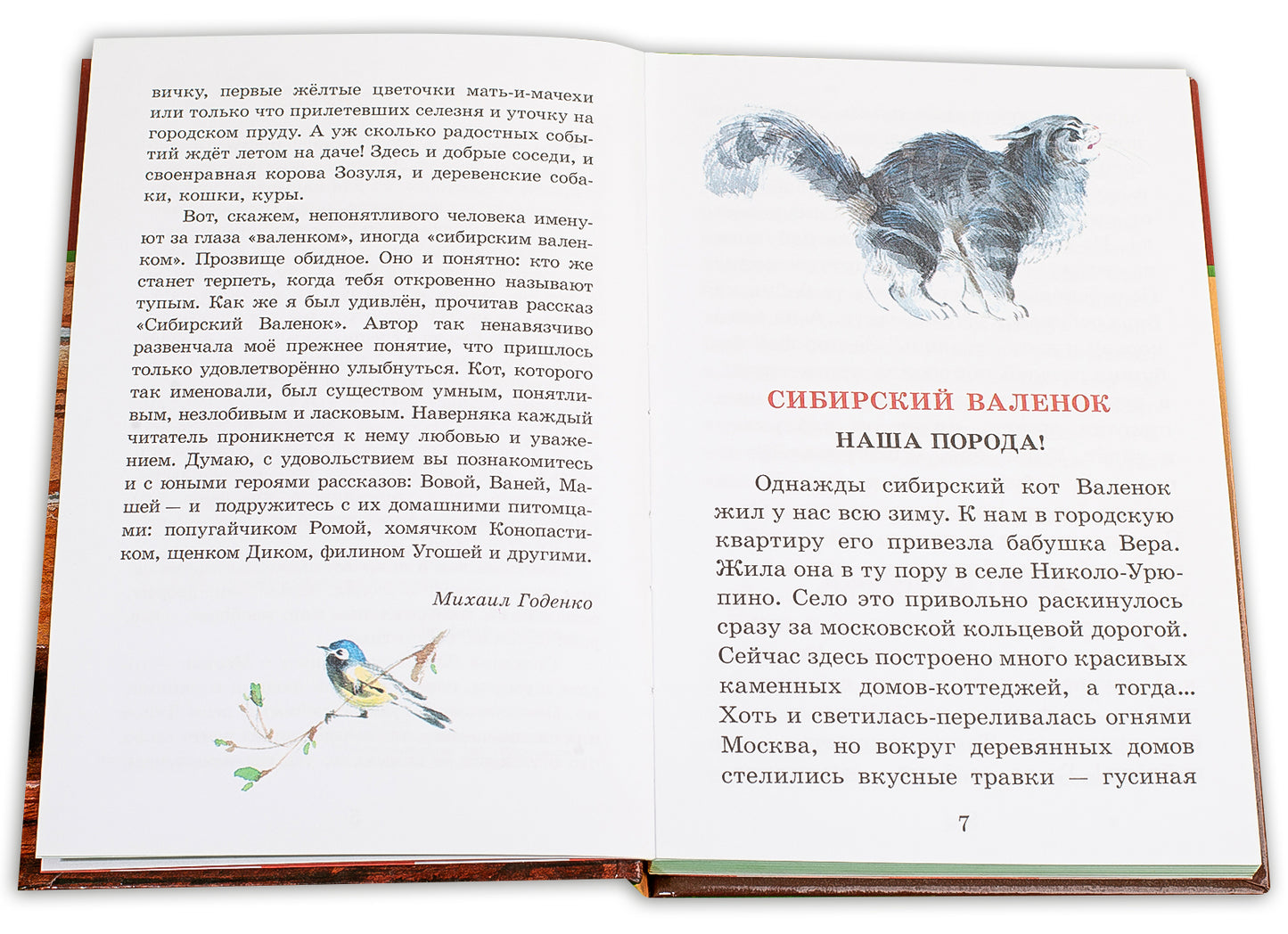 Сибирский Валенок (рассказы о детях и их домашних питомцах)