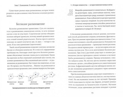 Зарождение человека. От замысла природы до лабораторной пробирки