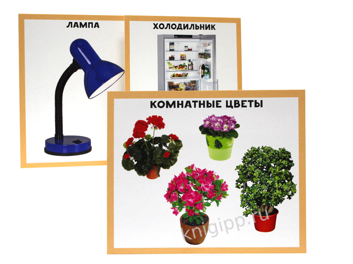 РАЗУМНЫЕ КАРТОЧКИ. МОЙ ДОМ