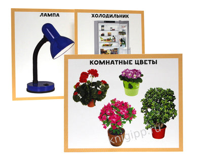 РАЗУМНЫЕ КАРТОЧКИ. МОЙ ДОМ