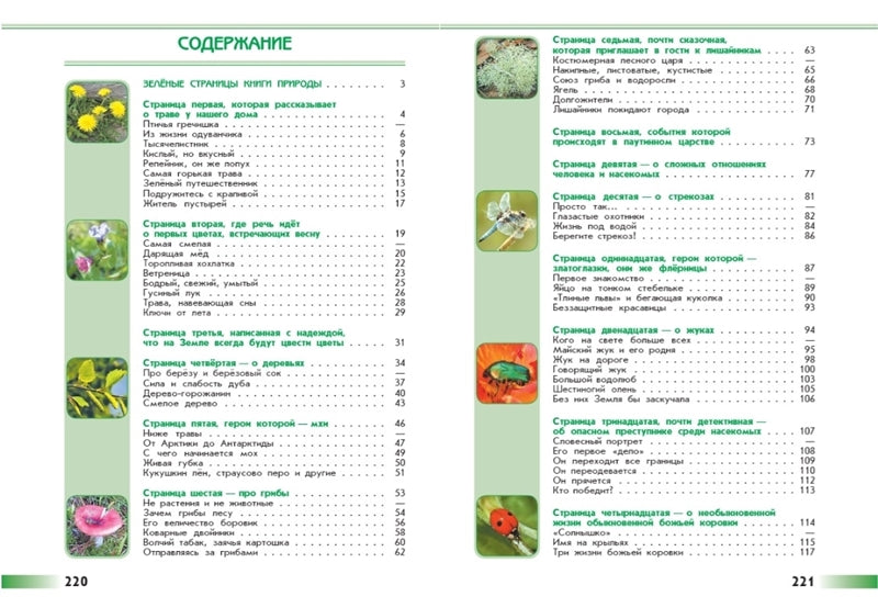 Плешаков Зеленые страницы. (Приложение 1/ Приложение 2) Книга для учащихся начальных классов (Школа России)