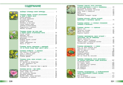 Плешаков Зеленые страницы. (Приложение 1/ Приложение 2) Книга для учащихся начальных классов (Школа России)