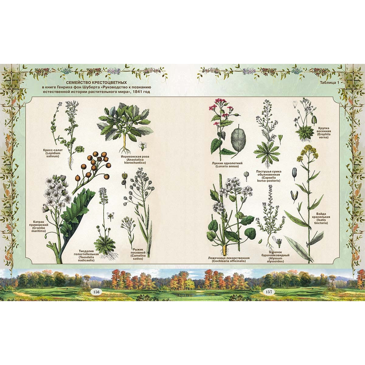 Из Зеленого Царства. Популярные очерки из мира растений