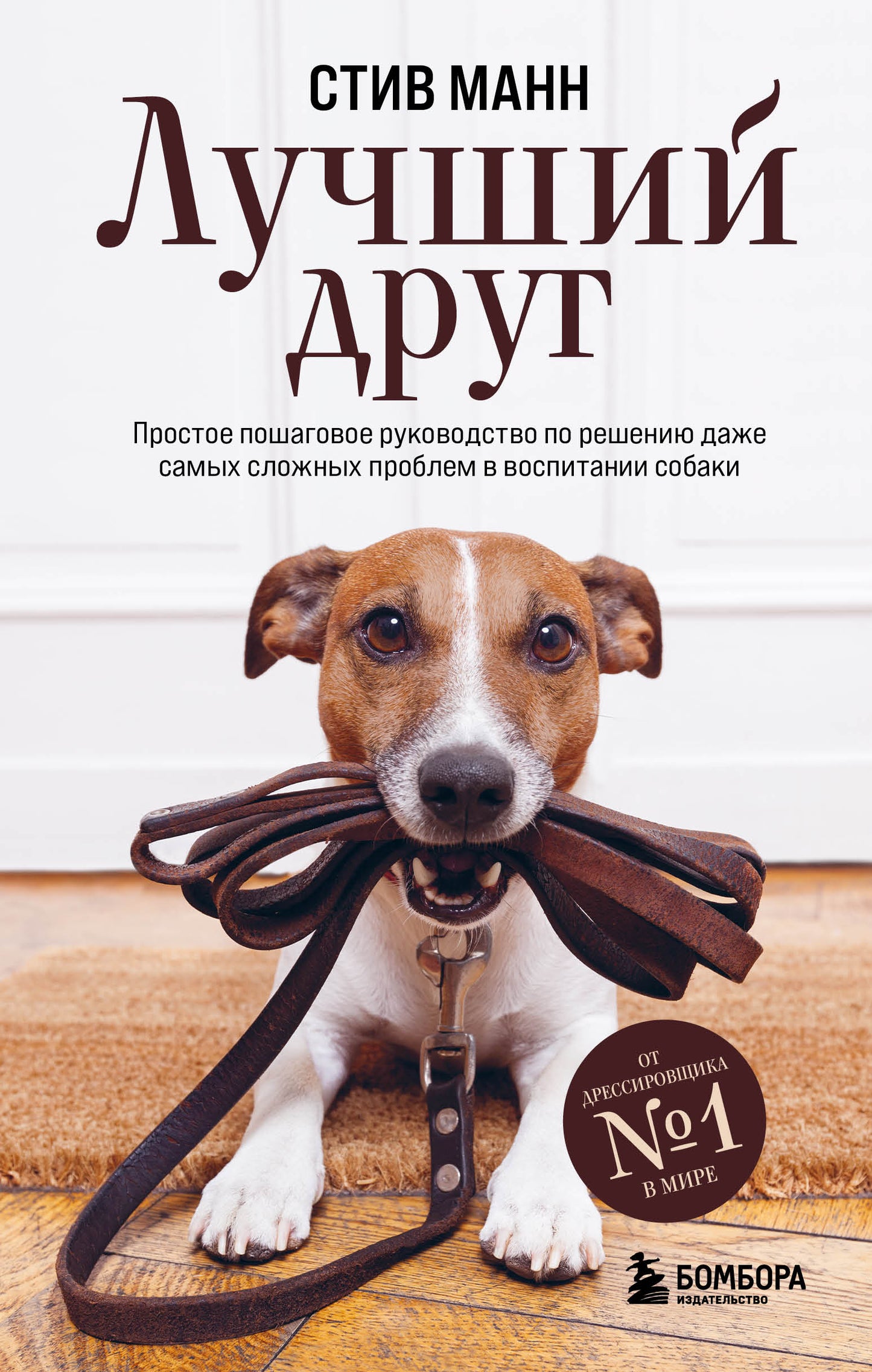 Лучший друг. Il est possible de résoudre le problème de l'environnement de travail
