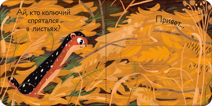 Вжух! Кто где живет?