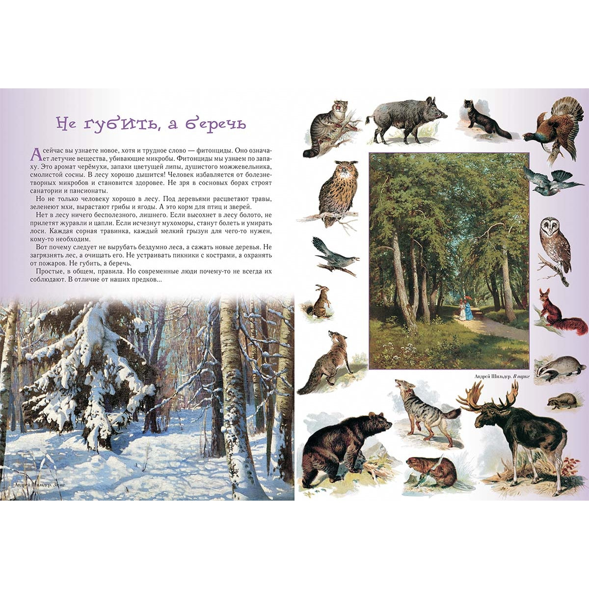 Прогулки по лесу. - 2-е изд.