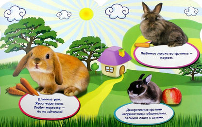 МИР ЖИВОТНЫХ. МОИ ПИТОМЦЫ