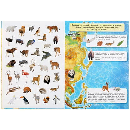 Животные. Атлас мира. Формат: 210х285мм. 8 стр. + 70 наклеек. Блок - мелованная 115г. Умка в кор50шт