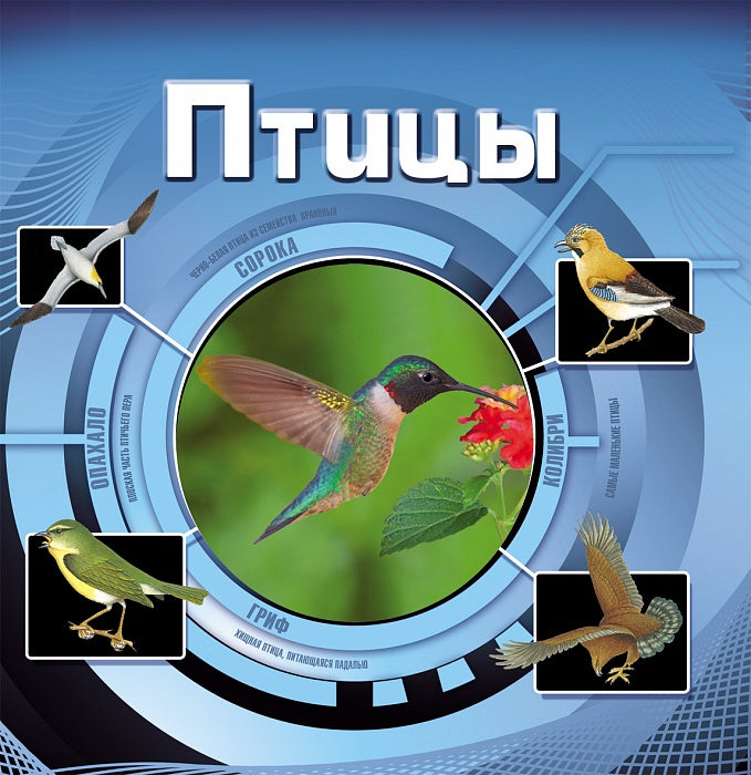 Птицы (3D)