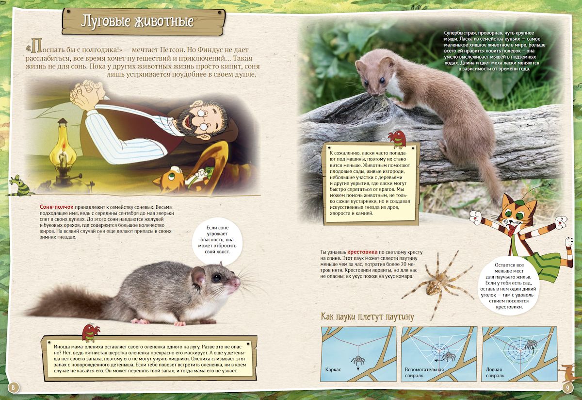 Петсон и Финдус изучают животных (второе издание, исправленное)