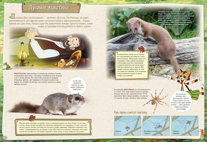 Петсон и Финдус изучают животных (второе издание, исправленное)