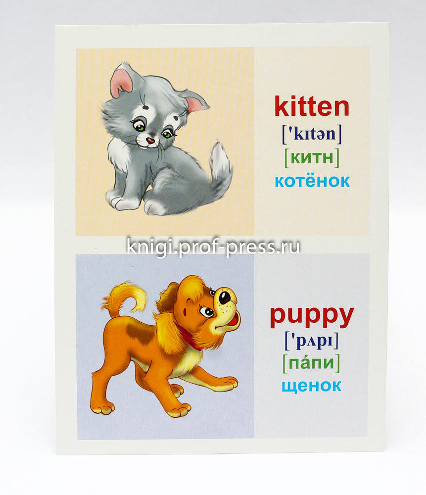 ОБУЧАЮЩИЕ КАРТОЧКИ. ПЕРВЫЕ СЛОВА НА АНГЛИЙСКОМ