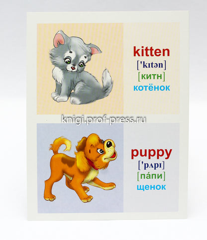 ОБУЧАЮЩИЕ КАРТОЧКИ. ПЕРВЫЕ СЛОВА НА АНГЛИЙСКОМ