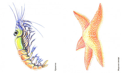 Обитатели океанов в картинках [Нагл. пособие]