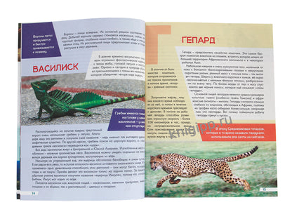 ЛУЧШАЯ ДЕТСКАЯ ЭНЦИКЛОПЕДИЯ новая 96стр. ЖИВОТНЫЙ МИР ОТ А ДО Я