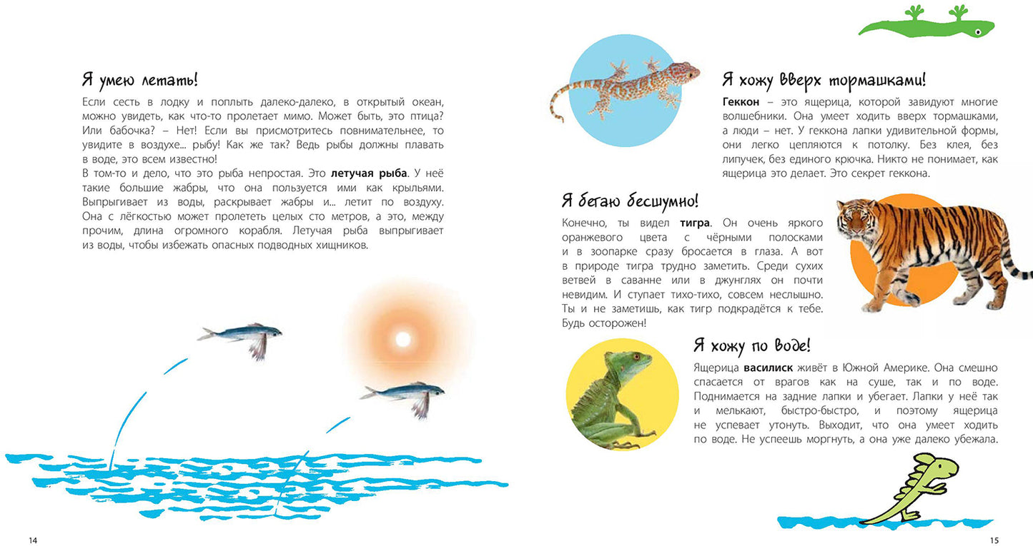 Посмотри, как я могу! Чудеса животного мира (ожидается поступление)