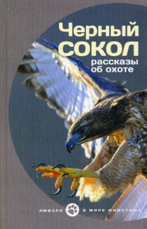 Черный сокол