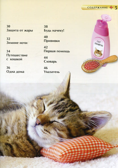 Кошки и котята. Детская энциклопедия