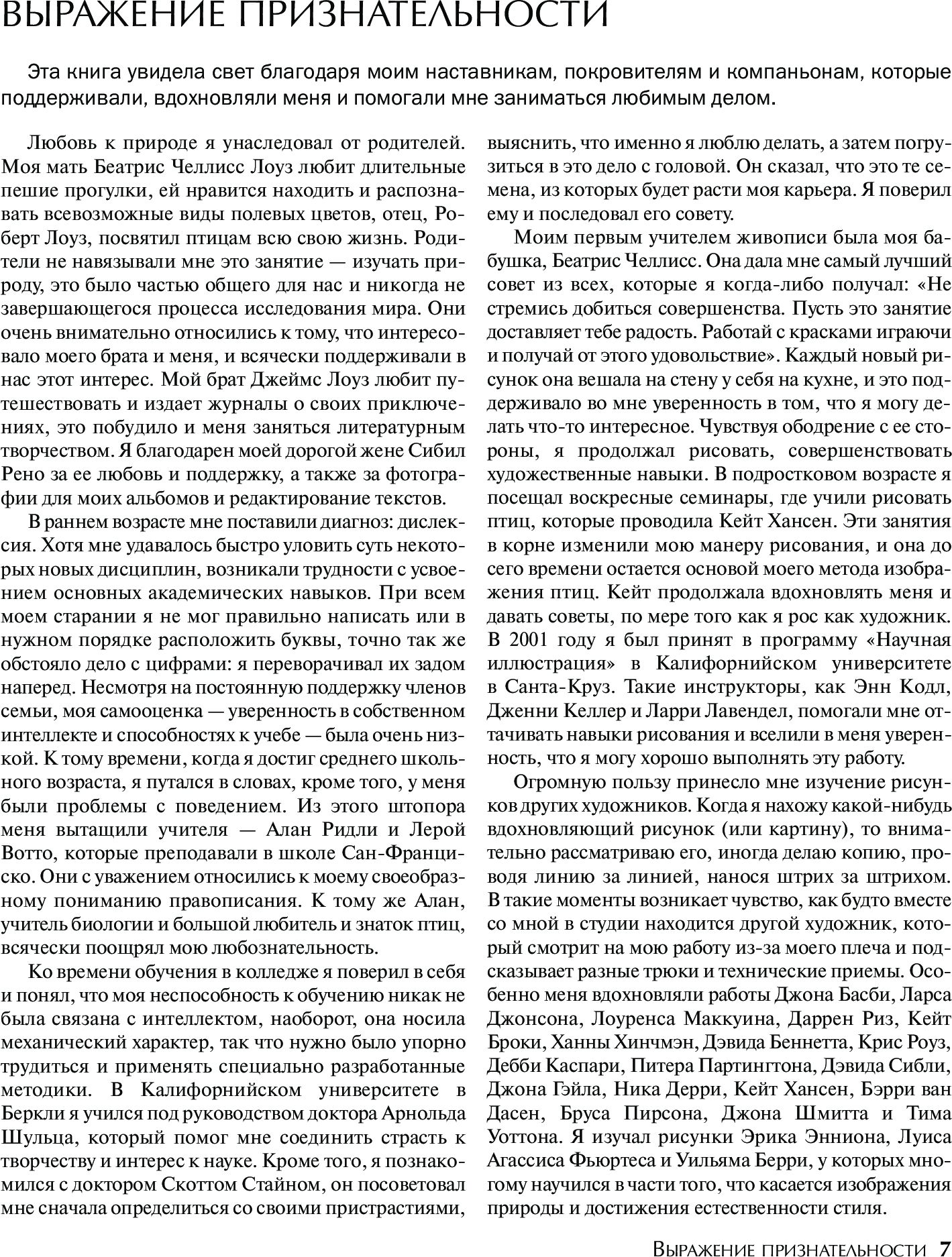 Как рисовать птиц