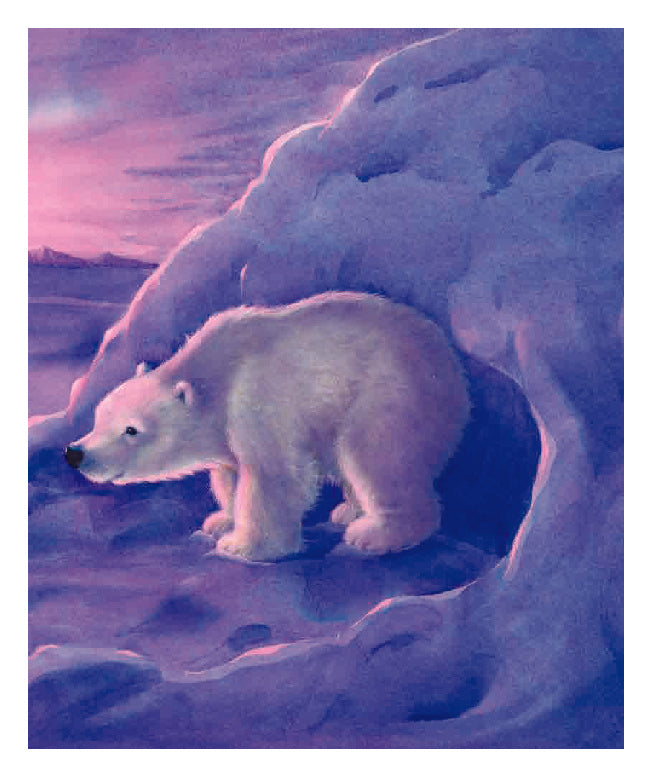 Как Медвежонок солнце искал