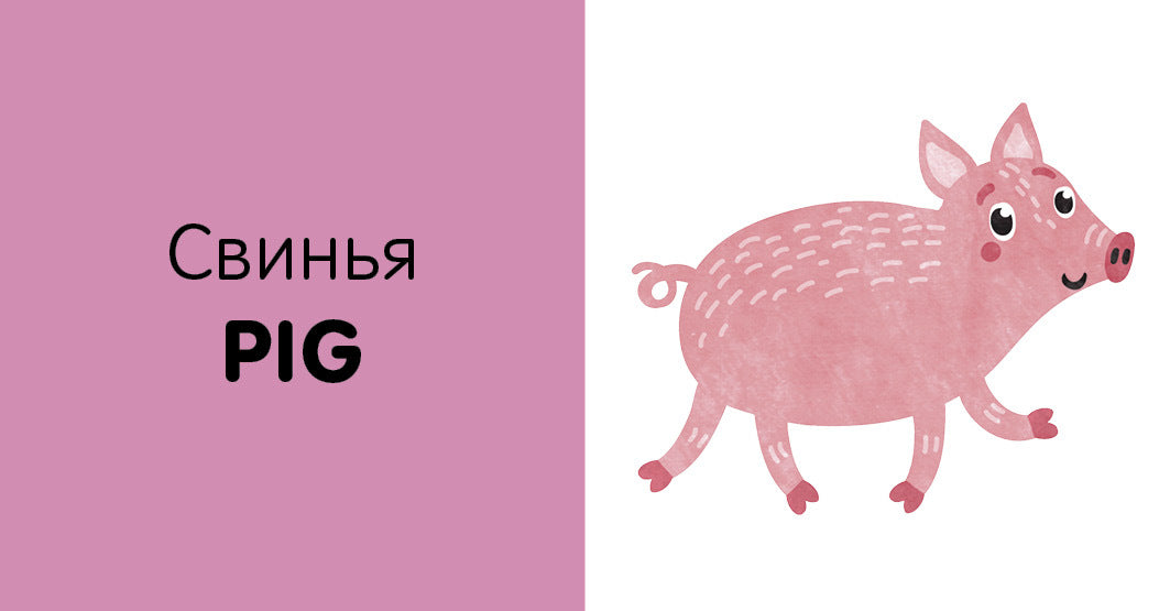 Познаем мир вместе. Английский язык. Животные. 15 книжек-кубиков/Уткина О.