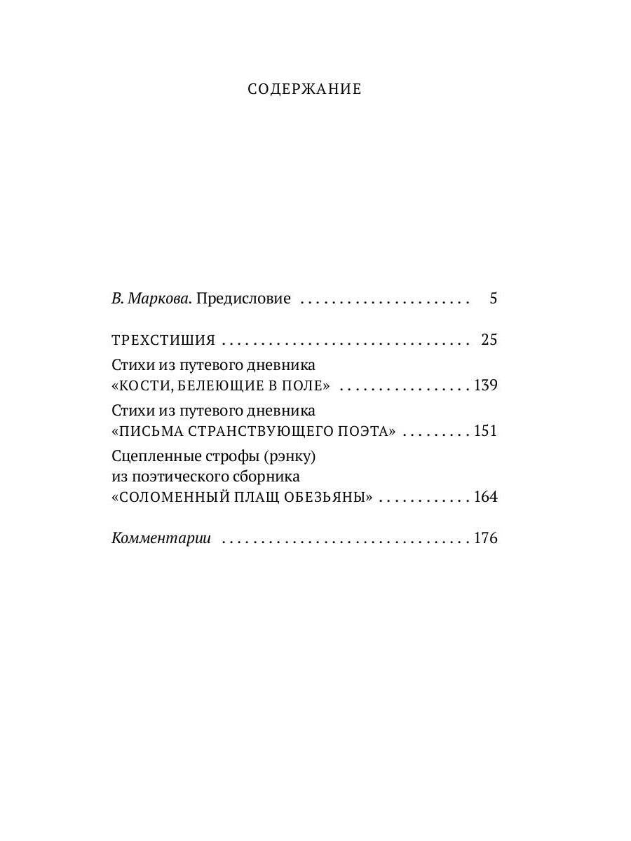 Рип.МирКлас.Письма странствующего поэта:стихи