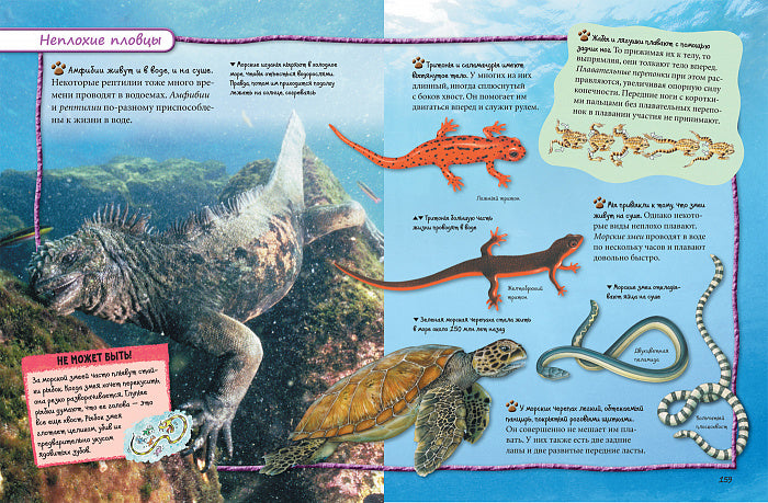 Всё обо всем. Энциклопедия интересных фактов