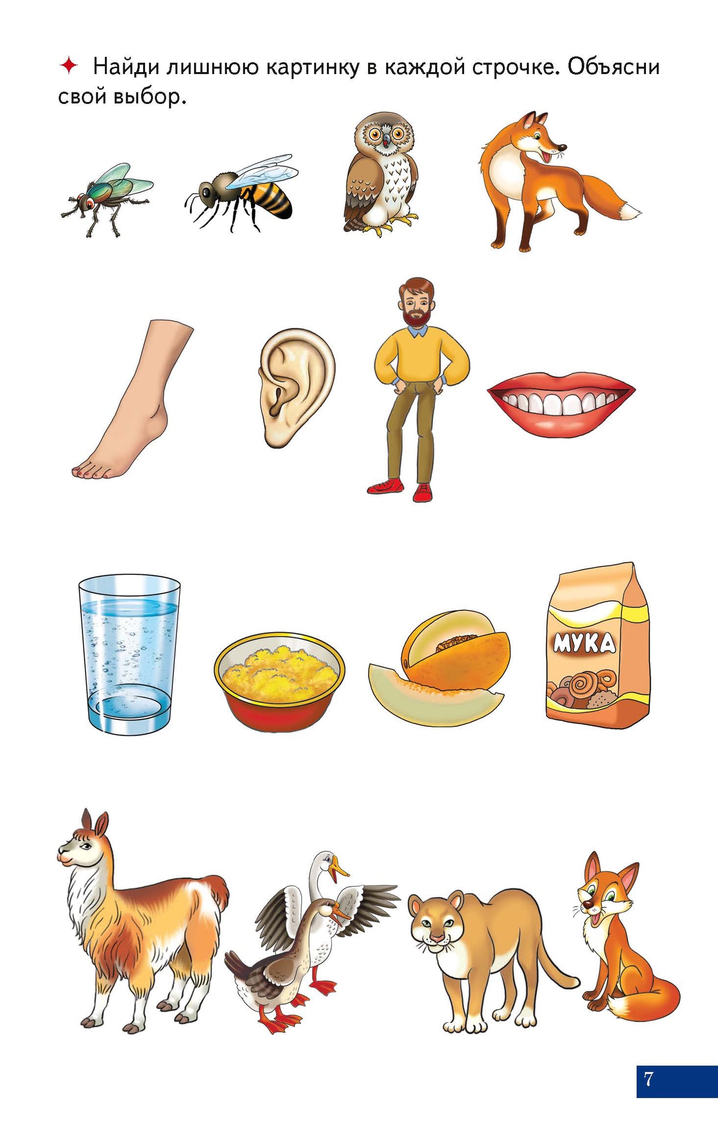 Карточки. Играй и говори! Двусложные слова ; Карточки. Играй и говори! Двусложные слова