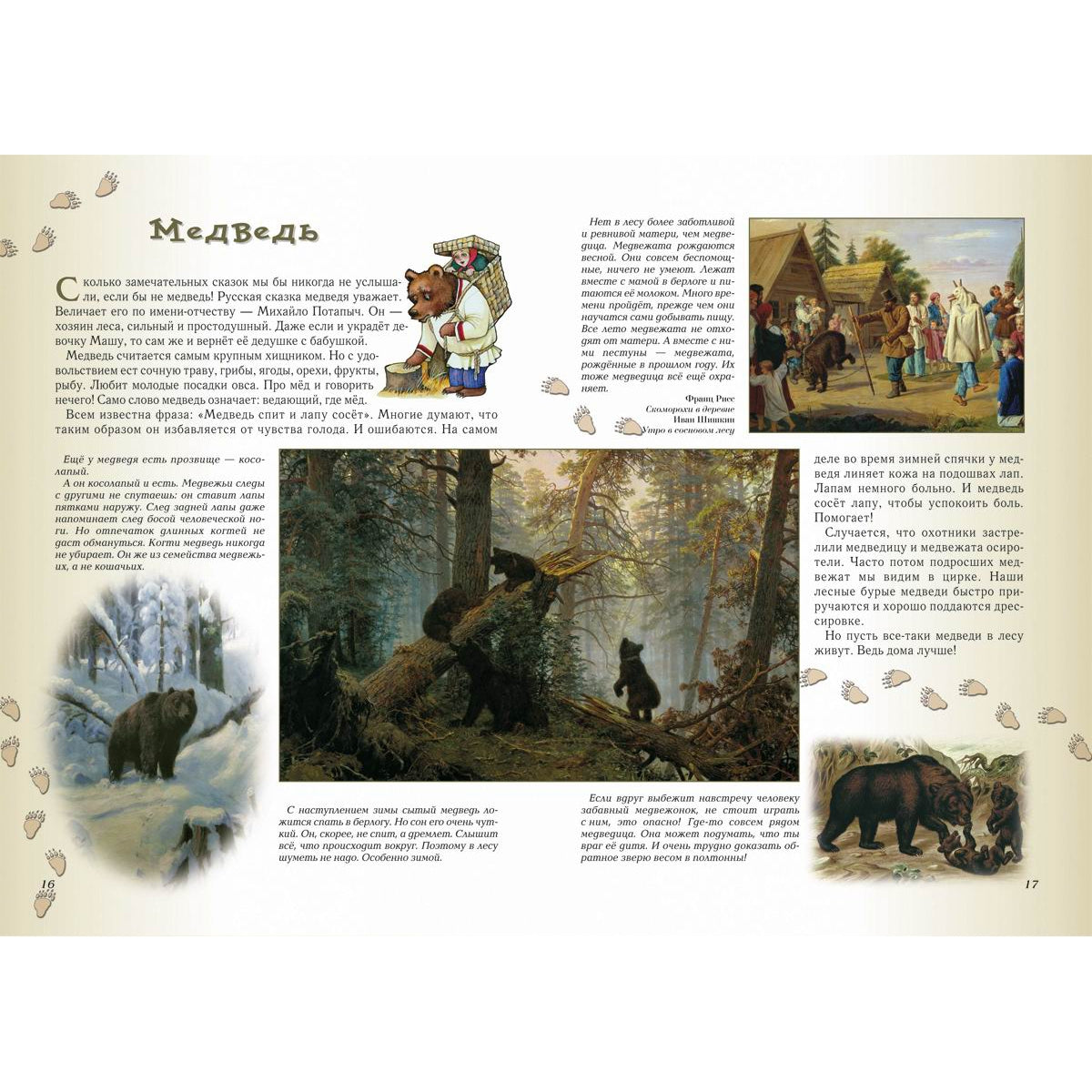 Прогулки по лесу. - 2-е изд.