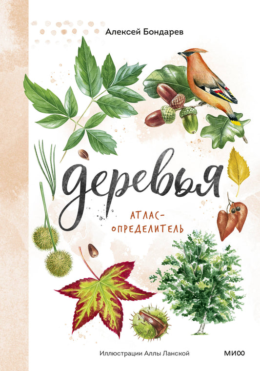 Деревья. Атлас-определитель