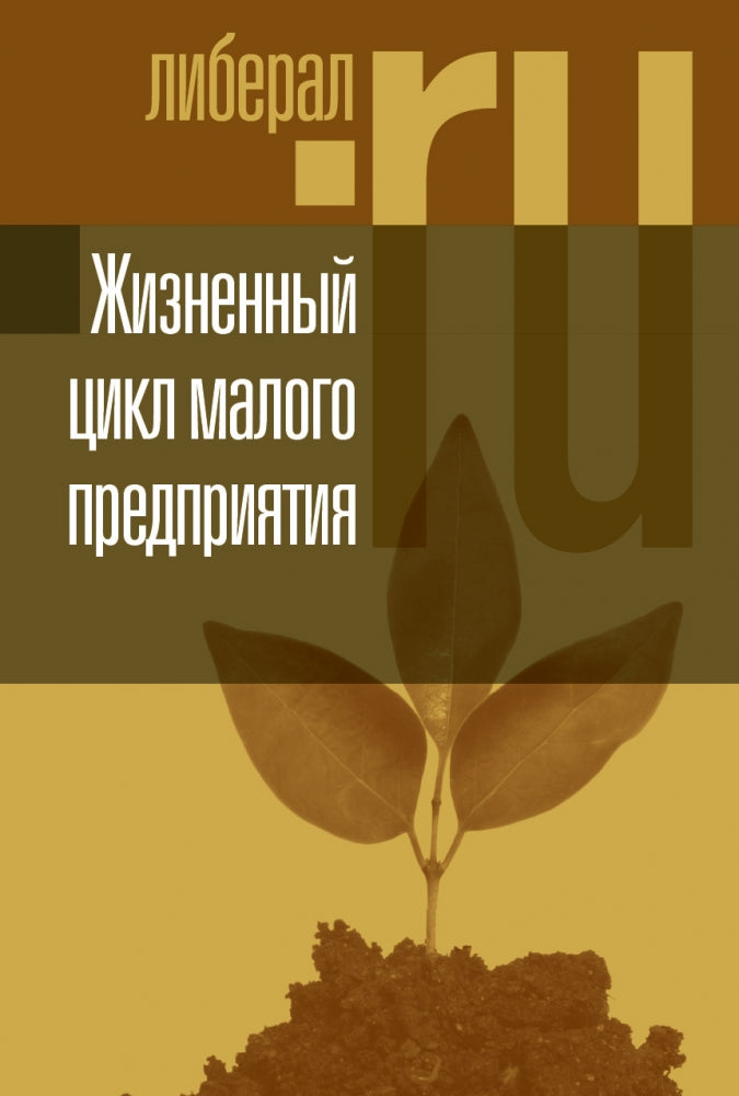 Жизненный цикл малого предприятия