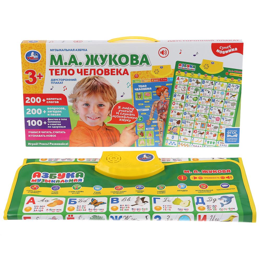 Плакат двусторонний на бат. музыкальная азбука М.Жукова, тело человека в кор. Умка в кор.48шт
