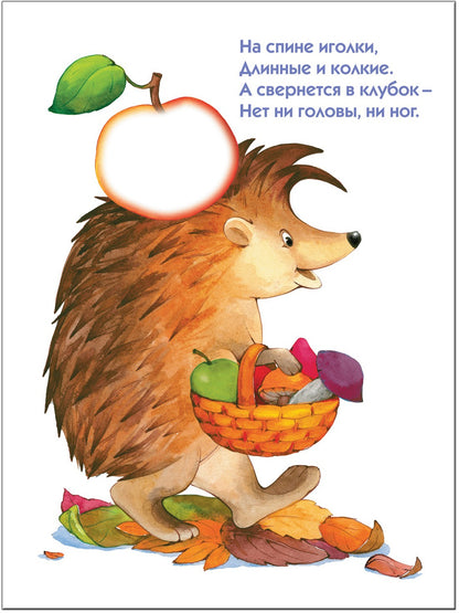ШСГ Второй год обучения. Кто это, что это?