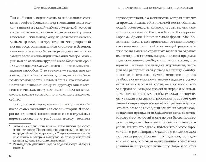 Шум падающих вещей. Перевод М.Малинской