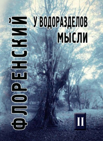 У водоразделов мысли (Черты конкретной метафизики). Том 2