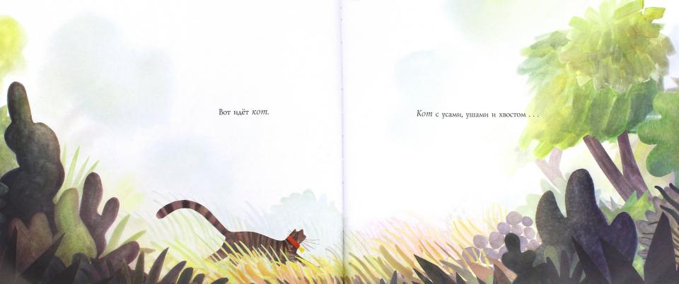 Все видели кота