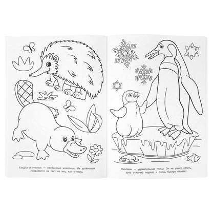 100 животных. Раскраска 100 картинок. 205х280 мм. Скрепка. 64 стр. Умка в кор.30шт