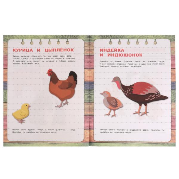 Домашние животные. Первые знания с наклейками. 215х285 мм. Скрепка. 16 стр. Умка в кор.50шт