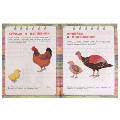 Домашние животные. Первые знания с наклейками. 215х285 мм. Скрепка. 16 стр. Умка в кор.50шт