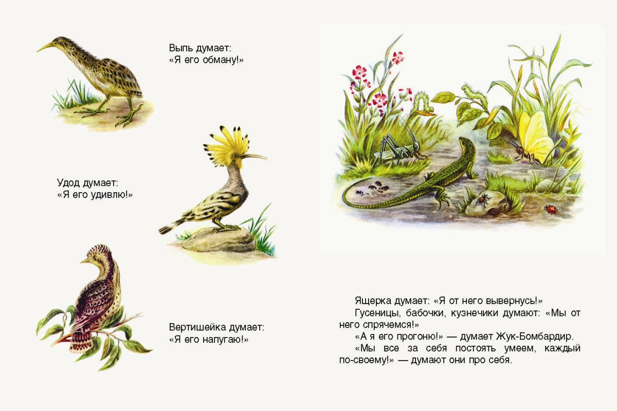 Первая охота. Странички-невелички. илл. Нецкой Е.