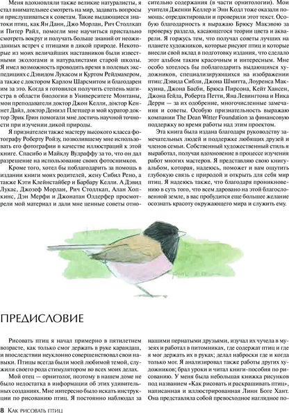 Как рисовать птиц