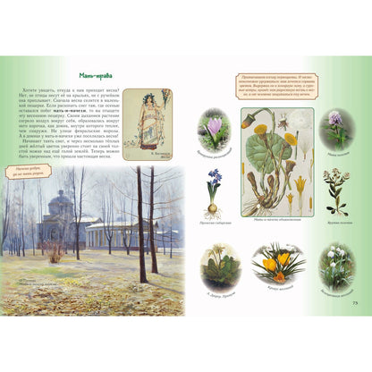 Детский травник